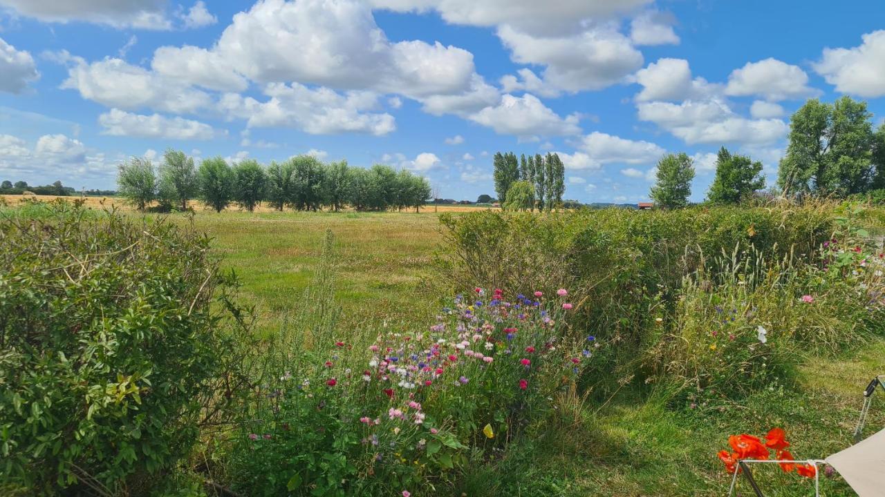 De Luxe Overkapping Middelburg Eksteriør billede
